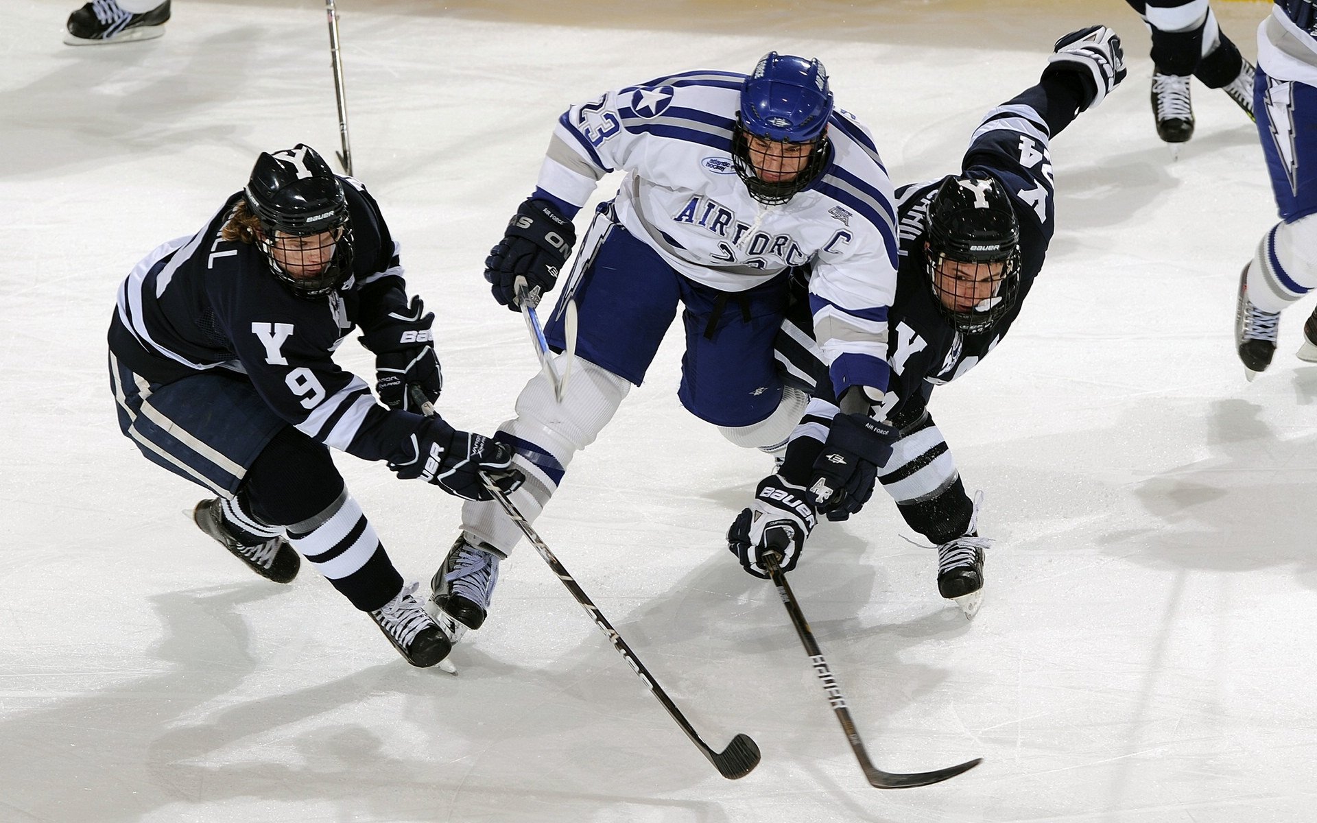 中国青少年篮球政策执行及效果追踪研究,中国青少年篮球训练指导手册